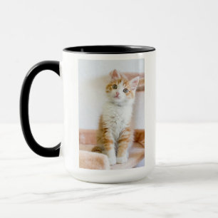 Sweet Blue Eyed Kitty Mug