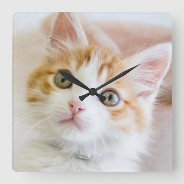 Sweet Blue Eyed Kitty Square Wall Clock (Front)