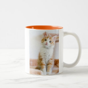 Sweet Blue Eyed Kitty Two-Tone Coffee Mug