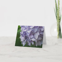 Sweet Blue Hydrangea Flower Photography Note
