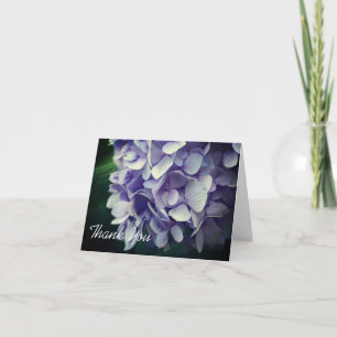 Sweet Blue Hydrangea Flower Thank You Card