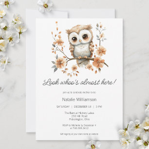 Sweet Boho Owl Baby Shower  Invitation