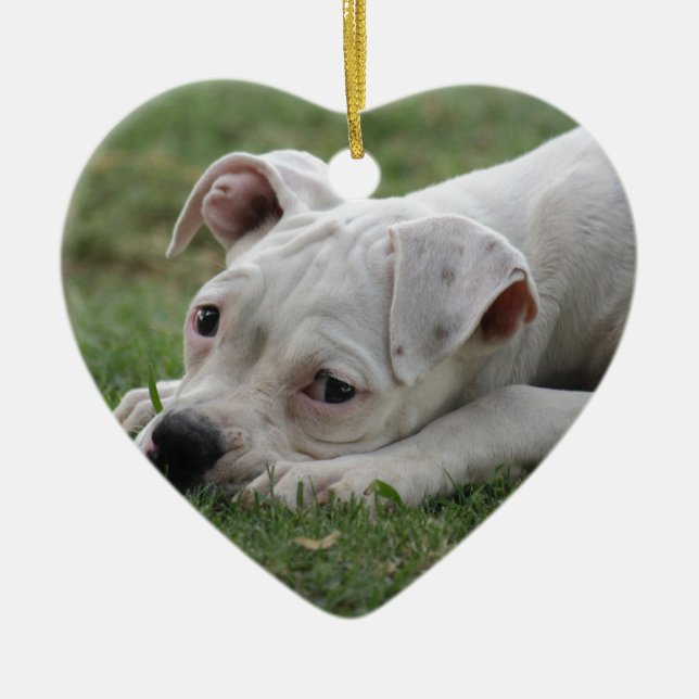 Sweet Boxer Puppy Ceramic Ornament (Front)