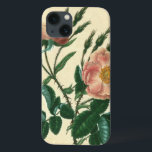 Sweet Briar Rose iPhone 13 Case<br><div class="desc">Floral</div>
