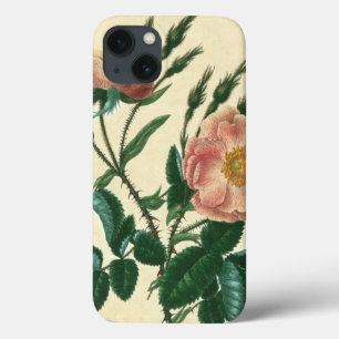 Sweet Briar Rose iPhone 13 Case