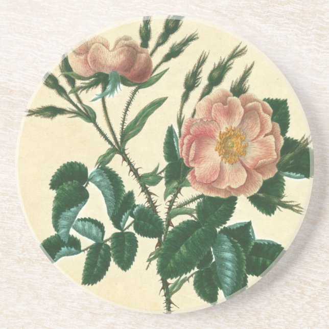 Sweet Briar Rose Coaster (Front)