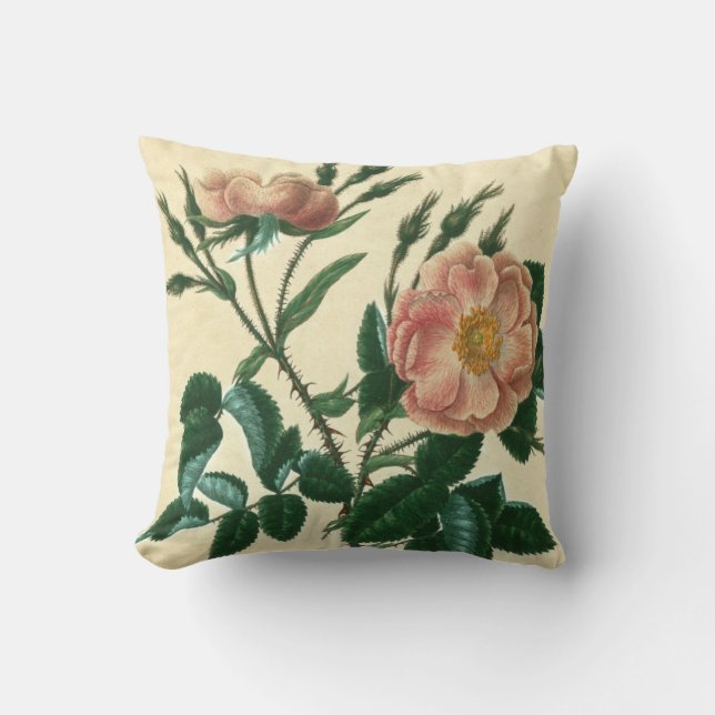 Sweet Briar Rose Cushion (Front)
