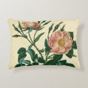 Sweet Briar Rose Decorative Cushion