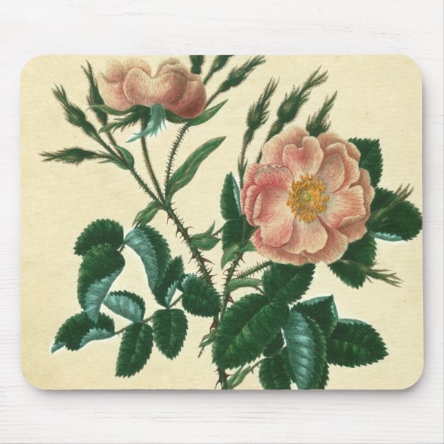 Sweet Briar Rose Mouse Pad (Front)