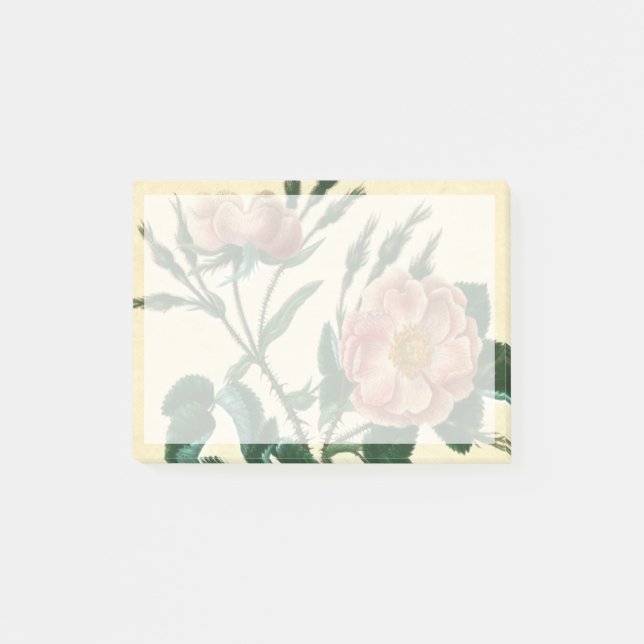 Sweet Briar Rose Post-it Notes (Front)