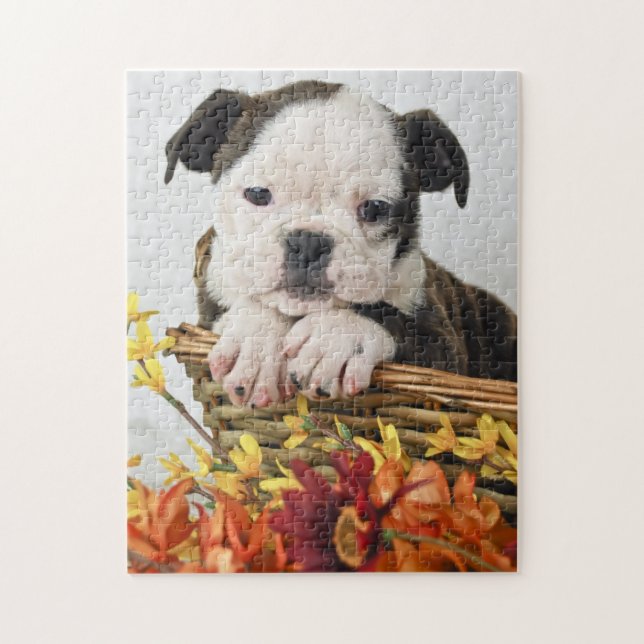 Sweet Bulldog Puppy Jigsaw Puzzle (Vertical)