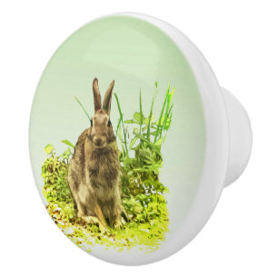 Sweet Bunny Rabbit in Grass Ceramic Knob