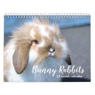 Sweet Bunny Rabbits 2027 Calendar