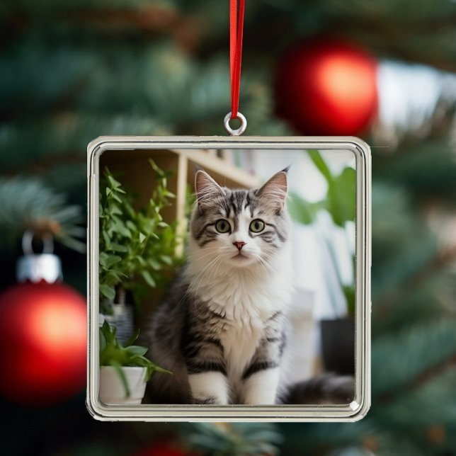 Sweet Cat Ornament (Creator Uploaded)