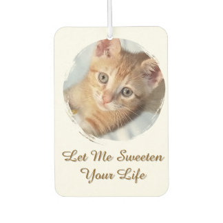 Sweet Cat Photo, Text, Replaceable, Car Air Freshener