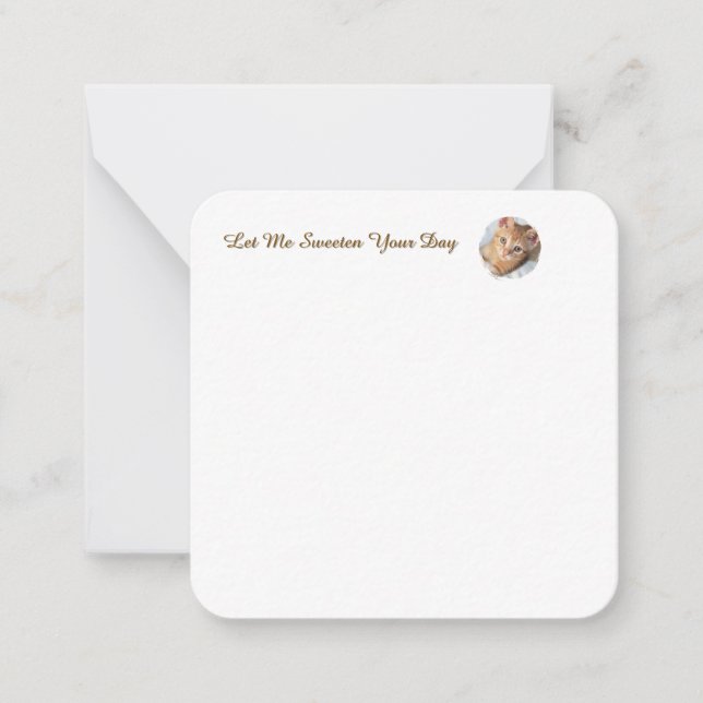 Sweet Cat Photo Text Replaceable, Funny Card (Front)
