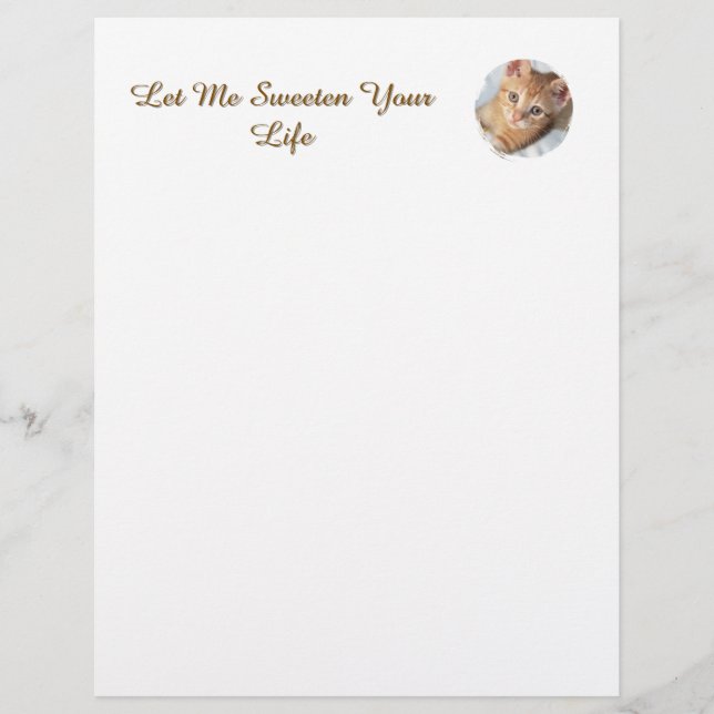 Sweet Cat Photo Text Replaceable, Funny Letterhead (Front)