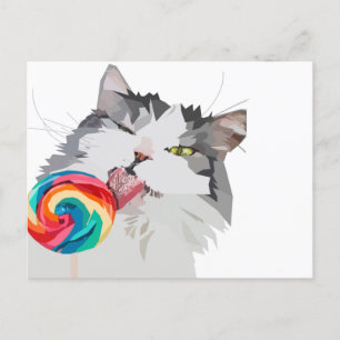 Sweet Cat Postcard