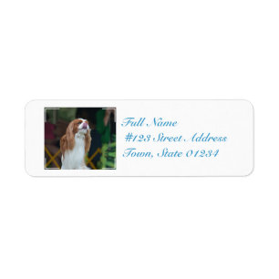 Sweet Cavalier King Charles Spaniel Return Address Label