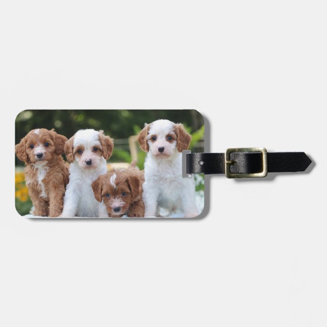 Sweet Cavapoo Puppies Luggage Tag (Front Horizontal)
