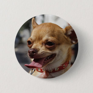 Sweet Charlie Chihuahua 6 Cm Round Badge