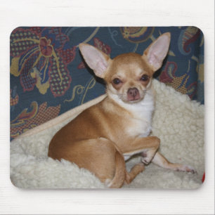 Sweet Charlie Chihuahua Mouse Pad