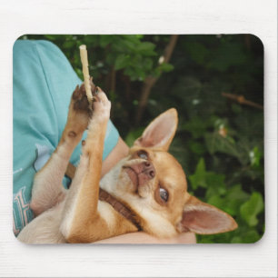 Sweet Charlie Chihuahua Mouse Pad