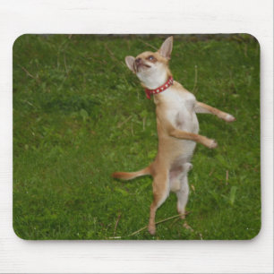 Sweet Charlie Chihuahua Mouse Pad
