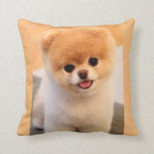 Sweet Charming Pomeranian Unique Cushion