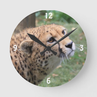 Sweet Cheetah with Appealing Eyes Round Clock