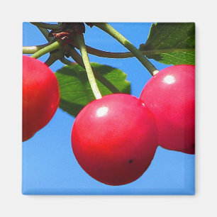 Sweet Cherries Magnet