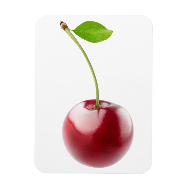 Sweet cherry magnet (Vertical)