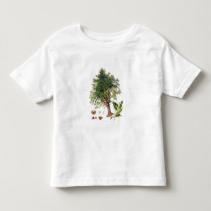 Sweet Chestnut, engraved by A. Haase (colour litho Toddler T-Shirt