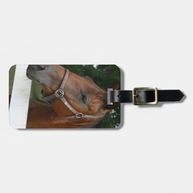 Sweet Chestnut Horse Luggage Tag (Front Horizontal)
