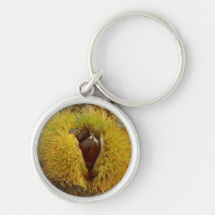 Sweet Chestnut Key Ring