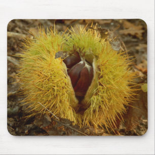 Sweet Chestnut Mouse Mat