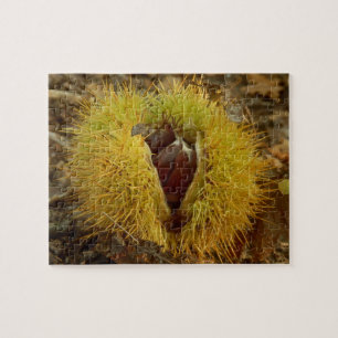 Sweet Chestnut Photo Puzzle with Gift Box