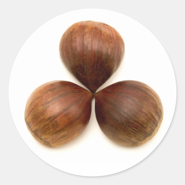 Sweet chestnuts fruits classic round sticker (Front)