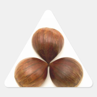 Sweet chestnuts fruits triangle sticker