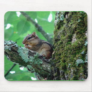 Sweet Chipmunk in a Tree Apparel and Gifts Mouse Pad