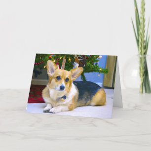 Sweet Christmas Corgi Holiday Card