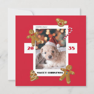 Sweet Christmas custom photo cute pet Holiday Card
