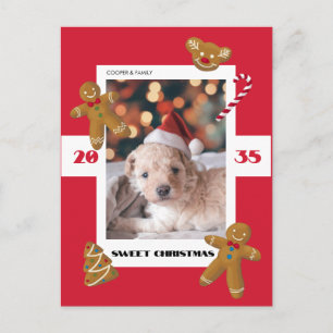Sweet Christmas custom photo cute pet Holiday Postcard