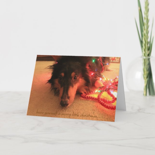 Sweet Collie Christmas, Have yourself a very merry Holiday Card (Front)