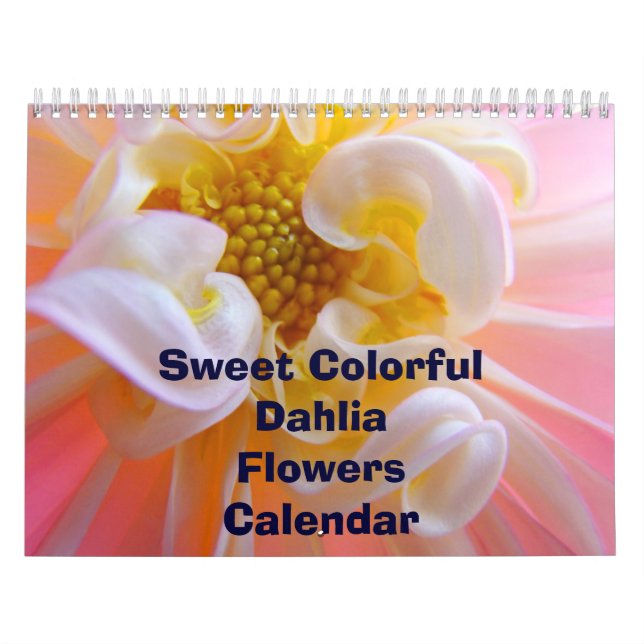 Sweet Colourful Dahlia Flowers Calendar Florals (Cover)