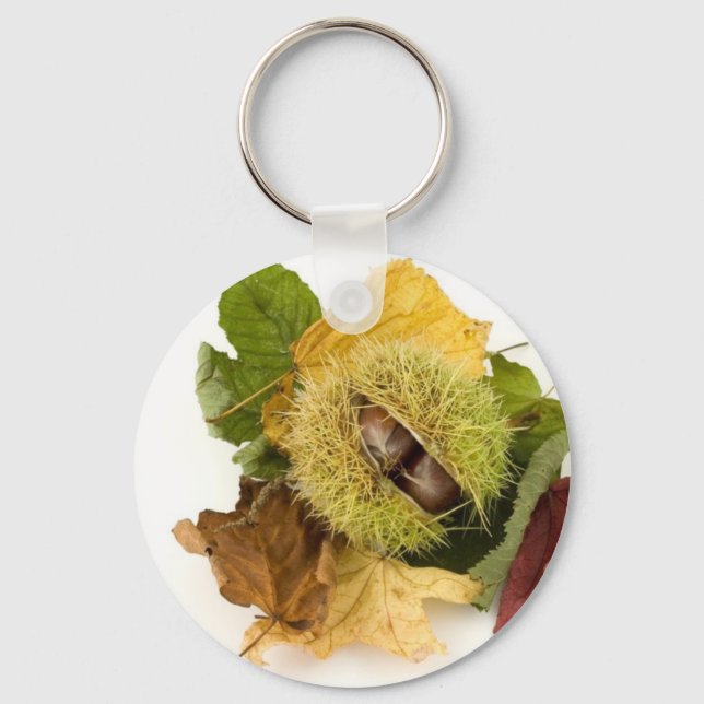 Sweet Conker With Leaves Key Ring (Front)