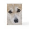 Sweet Corgi Face Card