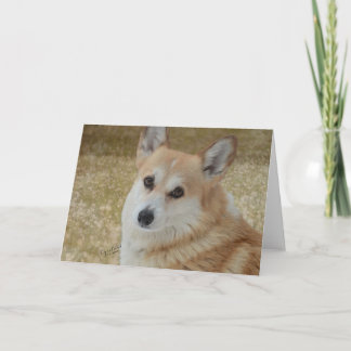 Sweet Corgi Face Card
