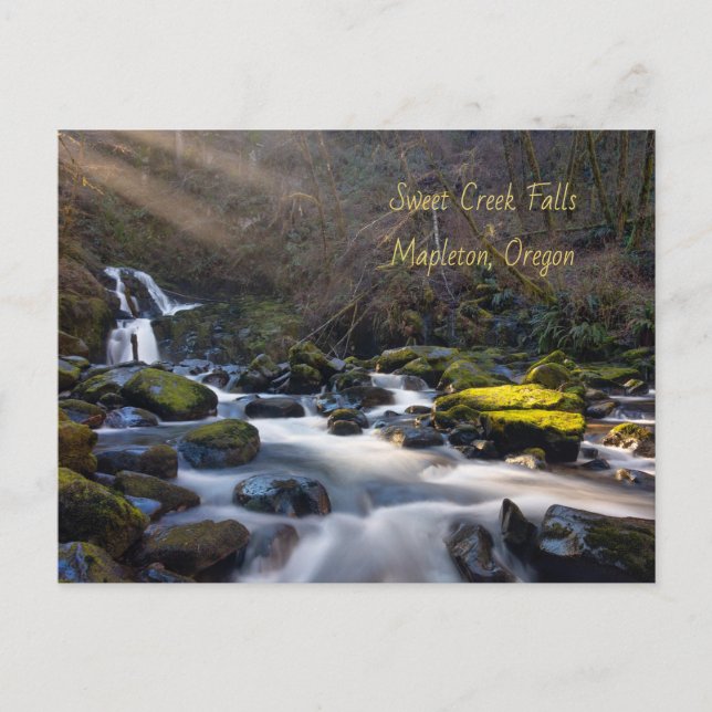 Sweet Creek Falls Oregon Postcard (Front)