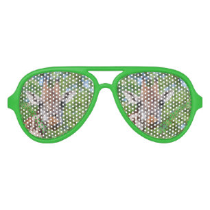 Sweet Curios Giraffe Aviator Sunglasses